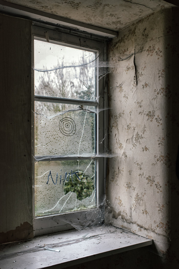 Alain - Fenêtre sur jardin 