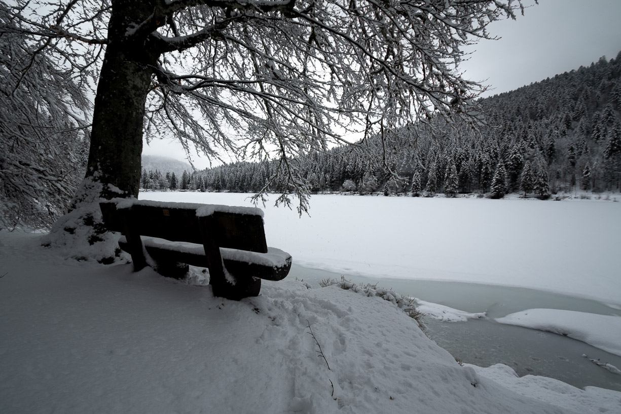 HENNEBICQ Arnaud - 5 Silence d'hiver