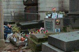 Image 7