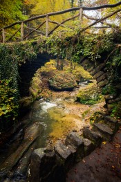 Image 12