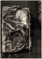Image 13
