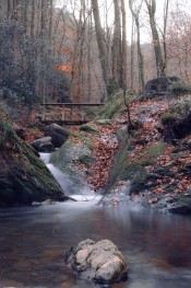 Image 13