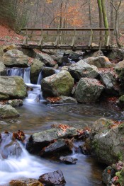 Image 18